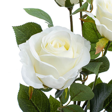 Gardenia Rose Spray White (78cmH)