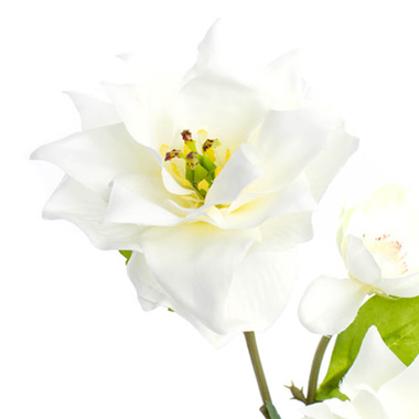Hibiscus Flower Spray White (66cmH)