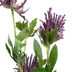 Thistle Flower Purple (83cmH)