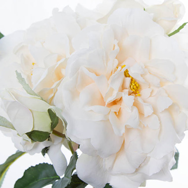 Wild Rose Bouquet Cream (35cmH)