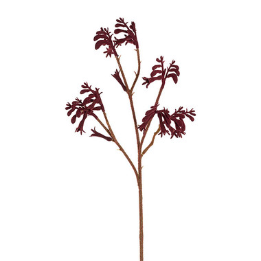 Gift AF - Australian & Native Flowers - Native Artificial Kangaroo Paw Spray Dark Red (62cmH)