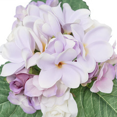 Frangipani Rose Bouquet Sweet Violet (28cmH)