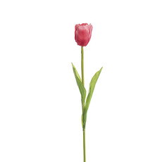 Artificial Tulips - Tulip Single Stem Pink (58cmH)