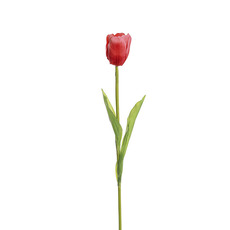 Artificial Tulips - Tulip Single Stem Red (58cmH)