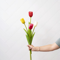 Tulip Single Stem Red (58cmH)