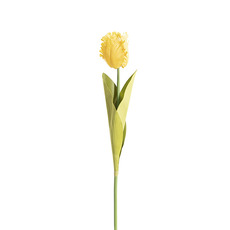 Artificial Tulips - Artificial Parrot Tulip Yellow (48cmH)