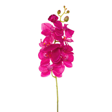 Artificial Orchids - Phalaenopsis Orchid Hot Pink (75cmH)