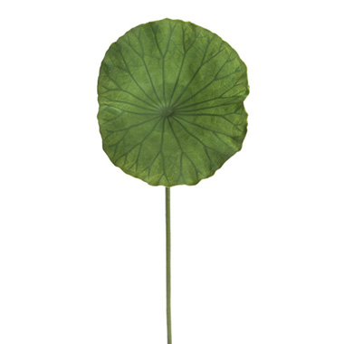 Artificial Leaves - Lotus Leaf Green (29cmDx80cmH)