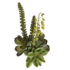 Artificial Mixed Succulent Mother of Pearl Green (28cmH)