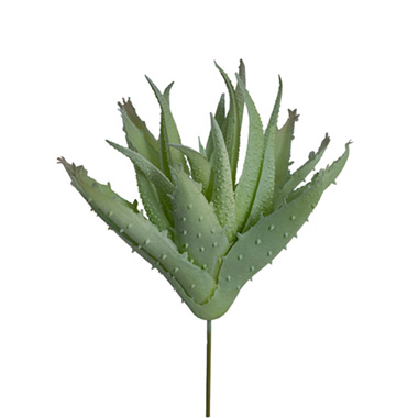 Artificial Succulents - Artificial Aloe Brevifolia Succulent Mint (19cmH)