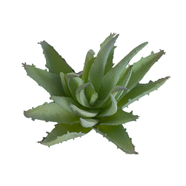 Artificial Aloe Brevifolia Succulent Mint (19cmH)