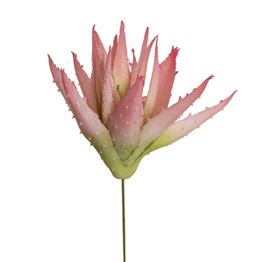 Artificial Succulents - Artificial Aloe Brevifolia Succulent Pink (19cmH)