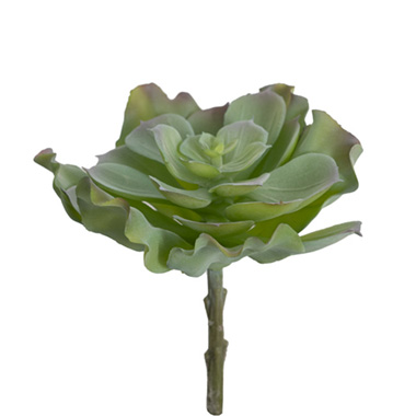 Artificial Succulents - Artificial Sempervivum Tectorum Succulent Mint (19cmH)
