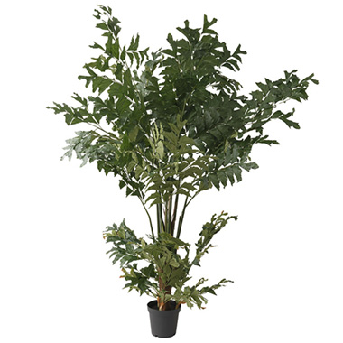 Artificial Indoor Trees - Artificial Grand Caryota Potted Tree Green (220cmH)
