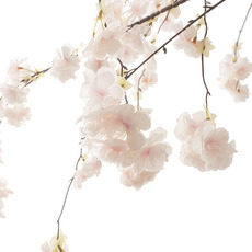 Artificial Cherry Blossom Tree Soft Pink (140cmDx210cmH)