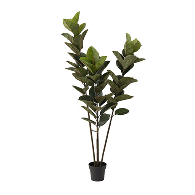Artificial Trees - Real Touch Potted Rubber Tree Green (180cmH)