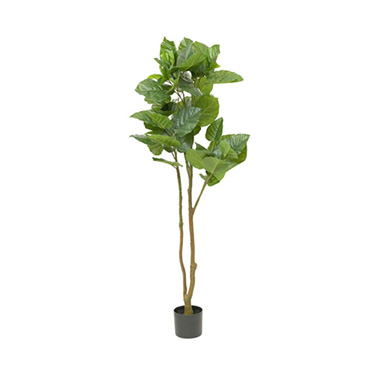 Artificial Trees - Real Touch Ficus Umbellata Potted Tree Green (145cmH)