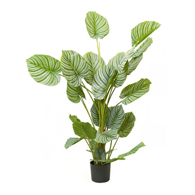 Artificial Indoor Plants - Real Touch Arrowroot Potted Plant Green (170cmH)
