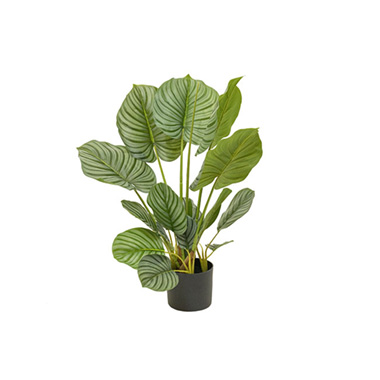 Artificial Plants - Real Touch Arrowroot Potted Plant Green (75cmH)