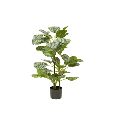 Artificial Plants - Real Touch Arrowroot Potted Plant Green (90cmH)
