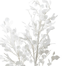 LED Dollar Gum Eucalyptus Tree White (50cmDx180cmH)
