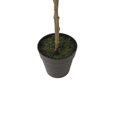 Artificial Ginkgo Potted Tree Green (120cmH)