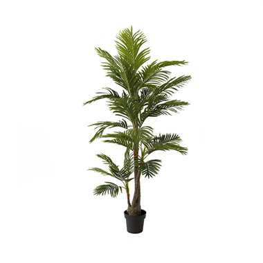 Artificial Indoor Trees - Real Touch 3 Head Palm Tree Potted Green (180cmH)