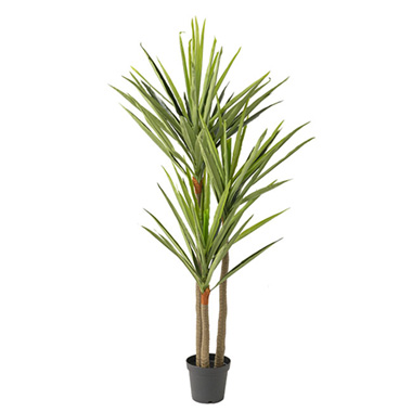 Artificial Indoor Trees - Real Touch 3 Head Yucca Potted Tree Green (200cmH)