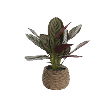 Artificial Indoor Plants - Real Touch Maranta Potted Plant Green (44cmH)