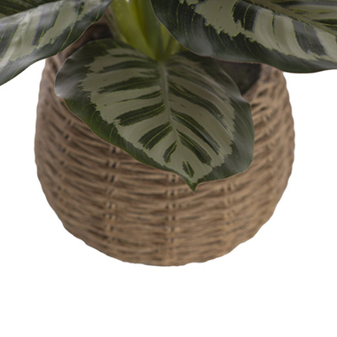 Real Touch Maranta Potted Plant Green (44cmH)