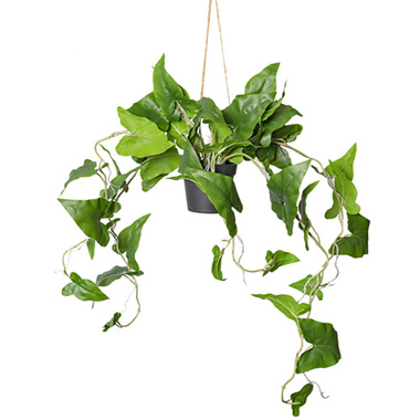 Artificial Hanging Plants - Real Touch Typhonium Hanging Potted Plant Green (105cmH)