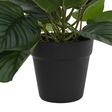 Real Touch Arrowroot Draping Potted Plant Green (35cmH)