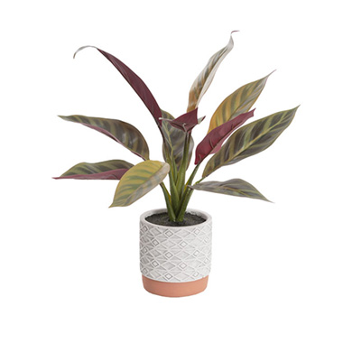 Artificial Plants - Real Touch Maranta Plant in Terracotta Pot Green (39cmH)