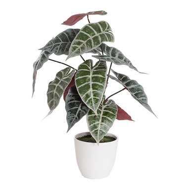 Artificial Indoor Plants - Real Touch Faux Alocasia Plant in White Pot Green (53cmH)