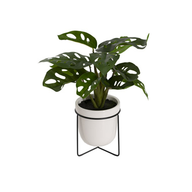 Artificial Plants - Real Touch Monstera Friedrichsthalii Pot Plant Green (33cmH)