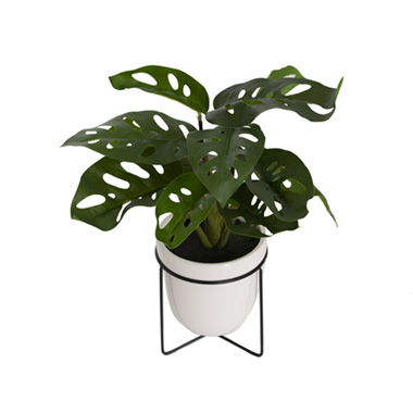 Real Touch Monstera Friedrichsthalii Pot Plant Green (33cmH)