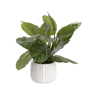 Artificial Plants - Real Touch Calathea Potted Plant Green (48cmH)