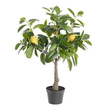Artificial Trees - Artificial Potted Lemon Tree Green (70cmH)