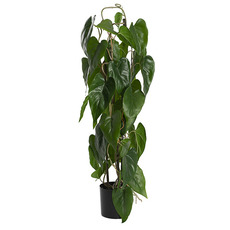Artificial Plants - Artificial Philodendron Hastatum Plant Vine Green (80cmH)