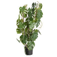 Artificial Plants - Artificial Monstera Deliciosa Plant Vine Green (80cmH)