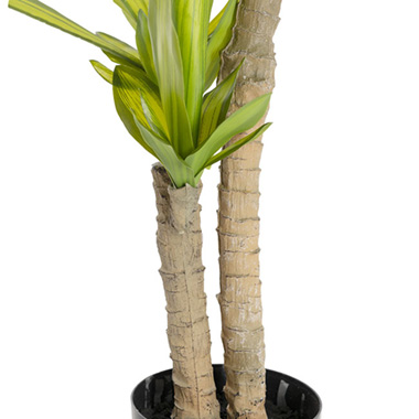Artificial Potted Dracaena Tree Green (85cmH)