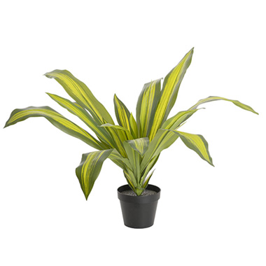 Artificial Indoor Plants - Artificial Potted Dracaena Plant Green (57cmH)