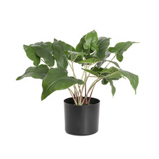 Artificial Plants - Artificial Philodendron Gloriosum Plant Green (44cmH)