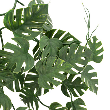 UV Treated Hanging Plant Philo Monstera Green (35cmH)