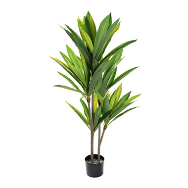 UV Proof Greenery - UV Treated Real Touch Dracaena Plant Green (120cmH)