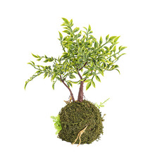 Artificial Plants - Artificial Bamboo Kokedama Green (34cmH)