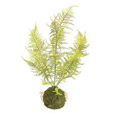 Artificial Plants - Artificial Fern Kokedama Green (50cmH)