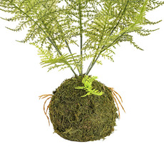 Artificial Fern Kokedama Green (50cmH)