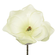 Victoria Magnolia Open White (90cmH)