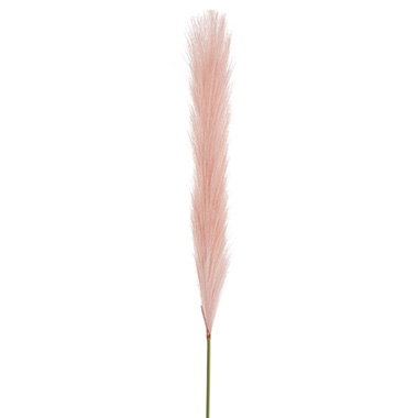 Single Stem Pampas Spray Soft Pink (70cmH)